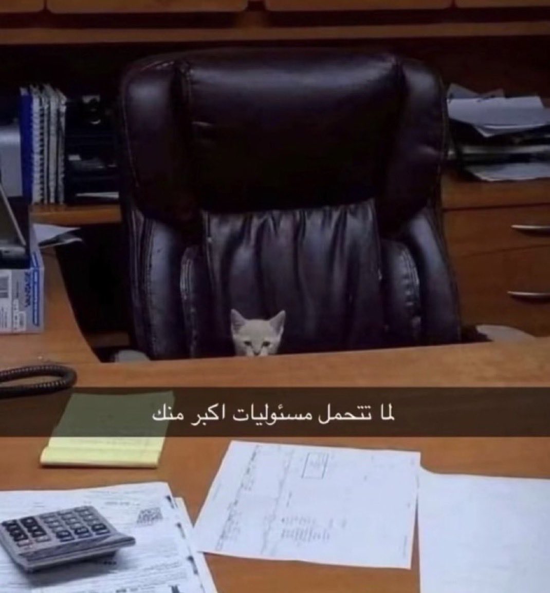 i14nn's tweet photo. يبون الخطه مننا كيف فزنا على الأرجنتين https://t.co/siIS6Rb04b