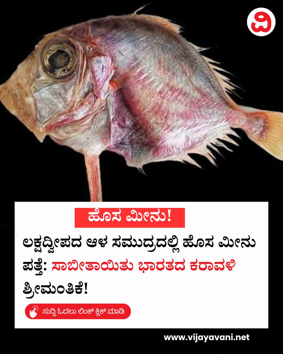 Vijayavani_Digi's tweet photo. ಲಕ್ಷದ್ವೀಪದ ಆಳ ಸಮುದ್ರದಲ್ಲಿ ಹೊಸ ಮೀನು ಪತ್ತೆ: ಸಾಬೀತಾಯಿತು ಭಾರತದ ಕರಾವಳಿ ಶ್ರೀಮಂತಿಕೆ! New fish
#IndianDory #Newfish #Lakshadweepregion #ArabianSea #CMFRI #KannadaNews #VijayavaniNews
https://t.co/3qJ83T4j5e https://t.co/imtWlbVIs6