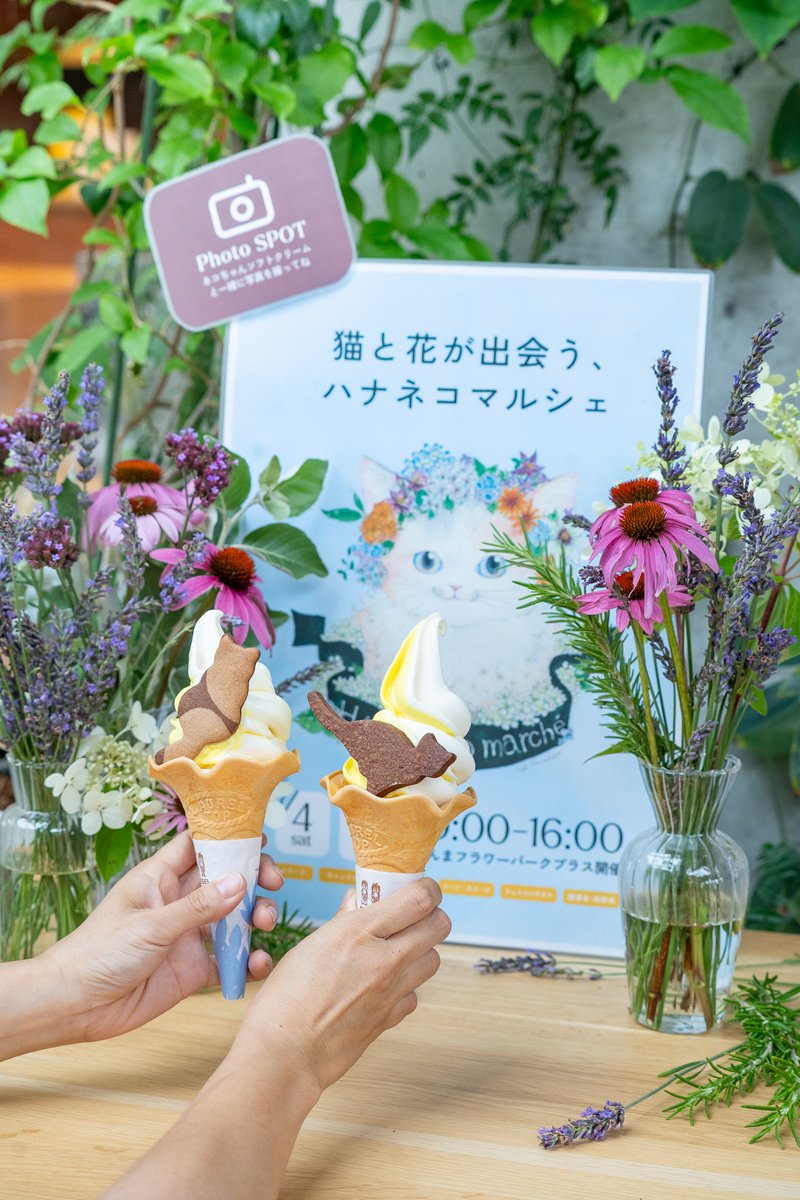 gunmaflowerpark's tweet photo. 【明日まで開催！ハナネコマルシェ🐈】  

＼ ぐんまフラワーパークプラス初開催決定！🐾🌸 ／ 

 ねこ飼いさんも、花好きさんも、動物好きさんも。 
屋内でゆったり楽しめる、心なごむキャットマルシェ「ハナネコマルシェ」！  

ネコや花をテーマにした可愛いハンドメイドグッズをはじめ、キャットトイ、こだわりペットフード、インテリア、美味しいお菓子、アクティビティ体験、限定ネコちゃんソフトクリームなど、ワクワクするブースが勢揃いします。

さらに！
マルシェ限定の特別企画として、来園者参加型のイラスト(絵作品)＆フォトコンテスト📸開催。 

審査員は来園してくださった皆様。
イベント中に投票を行い入賞者を決定。 花びらを使ってお気に入りの作品に投票してくださいね。

 ┈┈┈┈┈┈┈┈┈┈┈┈┈┈┈┈┈┈┈┈  

🐈 イベント概要：ハナネコマルシェ  
📅開催日程：2026年7月4日(土)・7月5日(日) 
🕐開催時間：10:00〜16:00 
📍開催場所：ミナモテラス内・コカゲテント内  

ハナネコマルシェ限定で楽しめる、ペットの毛や肉球スタンプで作るアクティビティや猫のおもちゃ作り、オリジナルグルメなども。

#ぐんまフラワーパークプラス