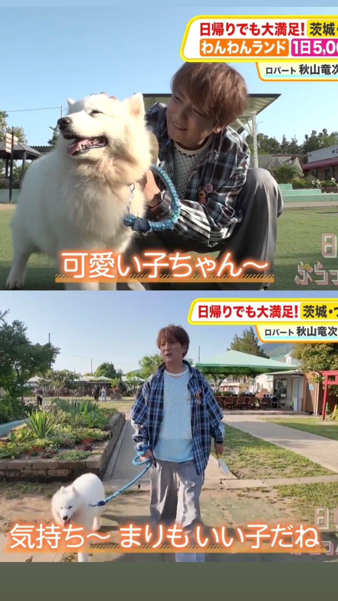 Ilikeyellowbus's tweet photo. 犬そこ代われ🐕 https://t.co/hP9tFj6TMn