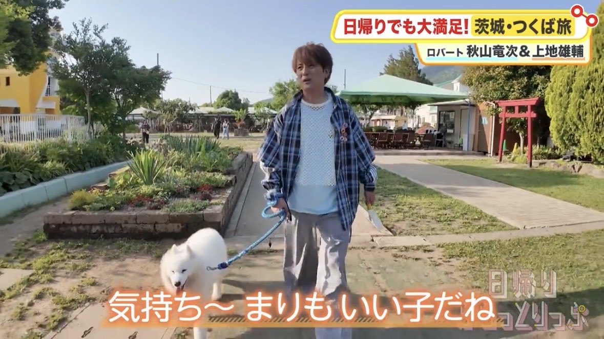 Ilikeyellowbus's tweet photo. 犬そこ代われ🐕 https://t.co/hP9tFj6TMn