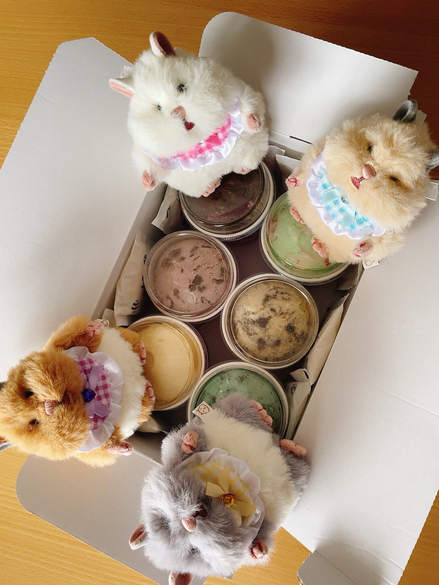 mashatomiki0206's tweet photo. お土産いただきました🍨
#はむにぎり
#はむにぎりのいる暮らし
#ぬい撮り #ぬい活
#サーティワンアイスクリーム https://t.co/rLh41cDvqz
