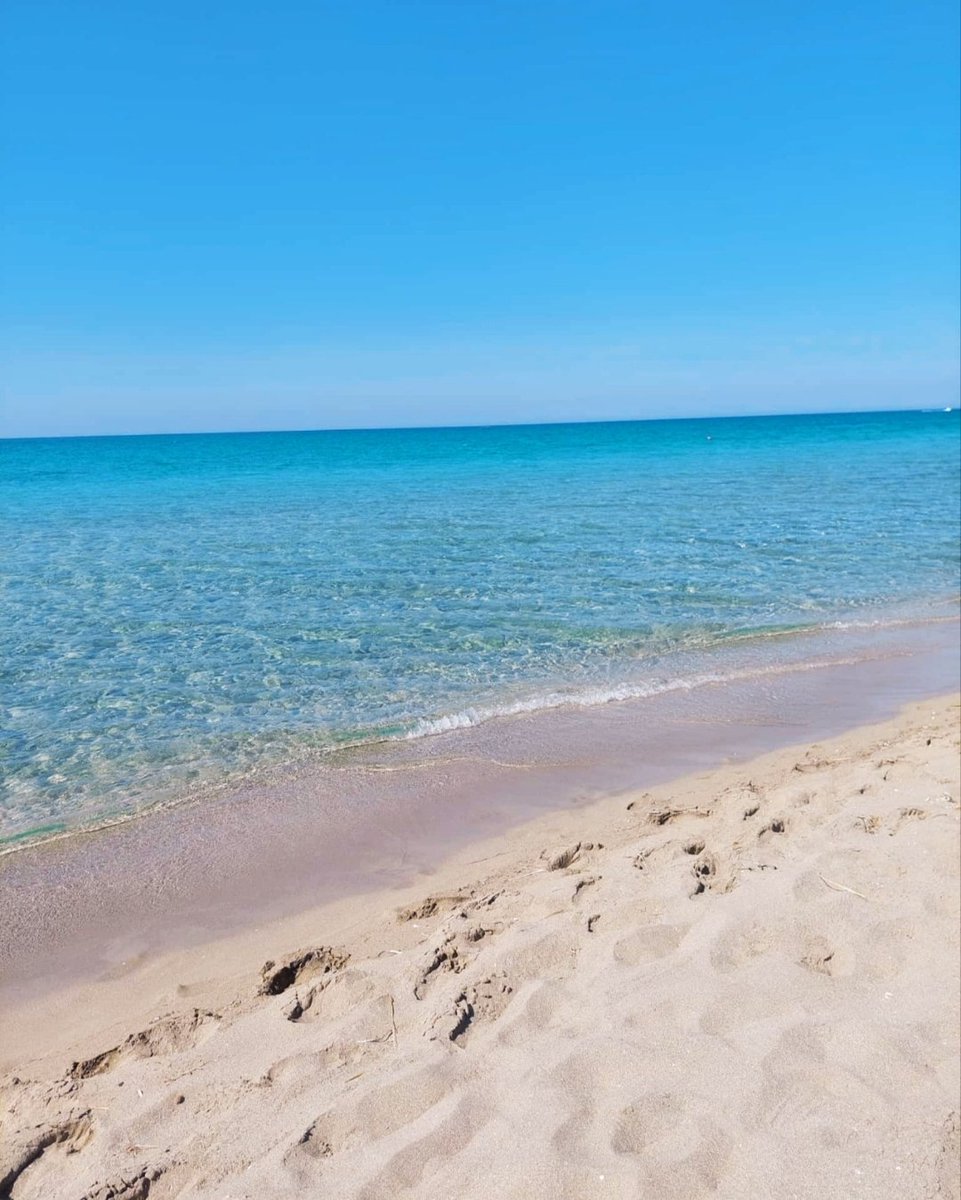 Rosy26008342's tweet photo. Che doni ti hanno fatto 
Ti hanno inventato il mare... 🎼🩵 https://t.co/E4kCeOVUTP