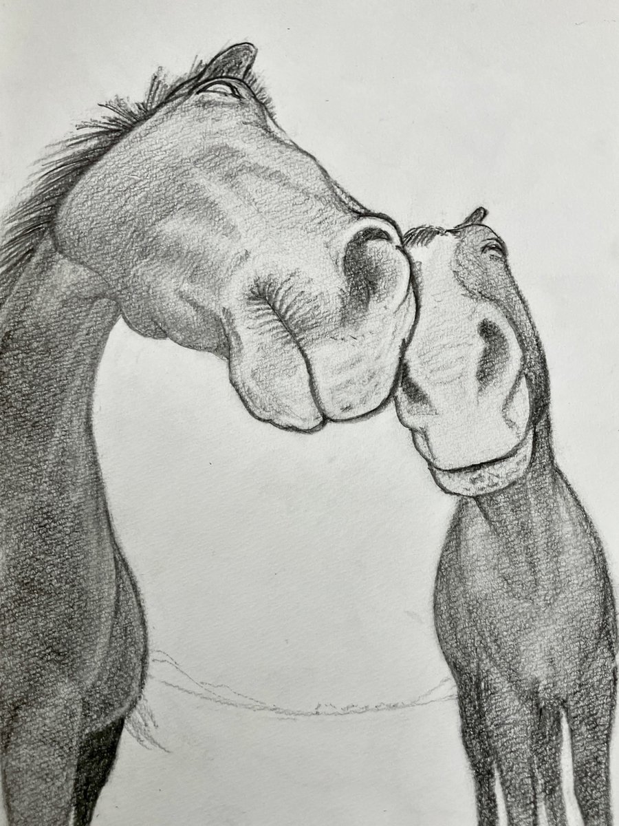 iskw_01's tweet photo. 描けた
玄関開けたらいるウマ https://t.co/GuWVmIhdYu