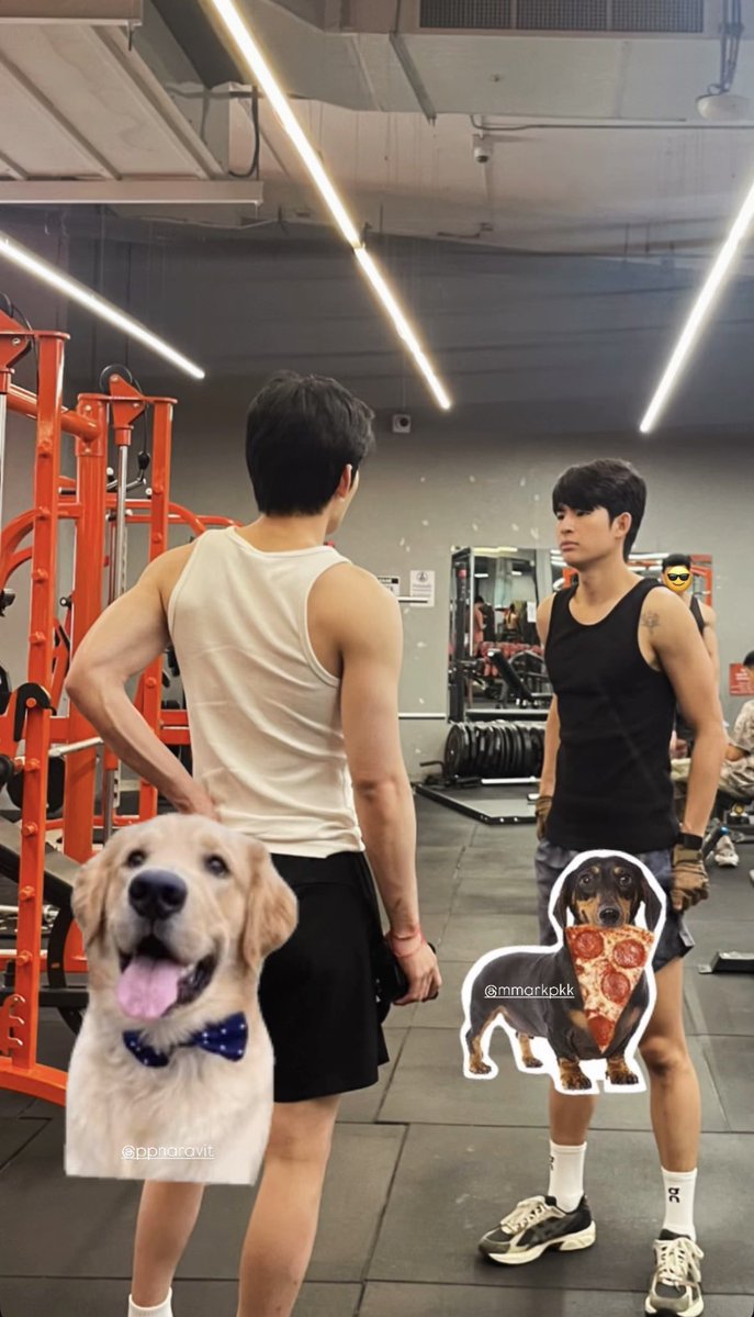 markohmtrend's tweet photo. ₊˚⊹♡₊ IG story updates : arm_wc

Tags : mmarkpkk

คุณโถม คุณธีย์ 🙌🏽

#mmarkpkk @mmarkpkk https://t.co/0lezEIq5Lh