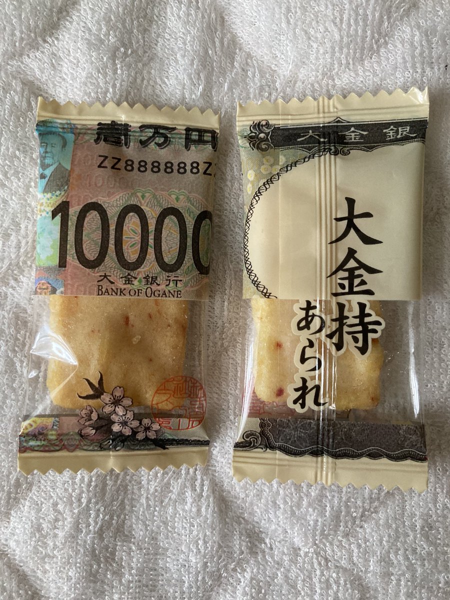 賀曽利 拓 tweet media