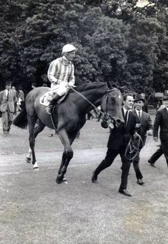 MikeWass2's tweet photo. OTD 1987: Alec Stewart-trained Mtoto (Michael Roberts) at 6-1 won the Eclipse Stakes from Derby winner Reference Point &amp; the classy French mare Triptych in a thriller. Mtoto won the race again in 1988; his sire Busted (Bill Rickaby) won the Eclipse in 1967. 🏇🌟#RacingMemories https://t.co/nTASABwFjn