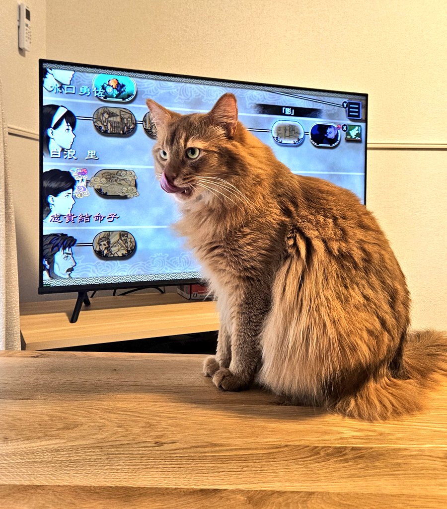 mina_survival's tweet photo. 🐈️｢パラノマサイトのゲーム実況を見るなら僕見てよ｣ https://t.co/Vfvu3wgZKQ
