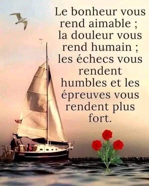 BerbessouLoic's tweet photo. Le bonheur vous rend aimable ;
la douleur vous rend humain;
les échecs vous rendent
humbles et les épreuves vous rendent plus fort. https://t.co/29FR4Wti3V