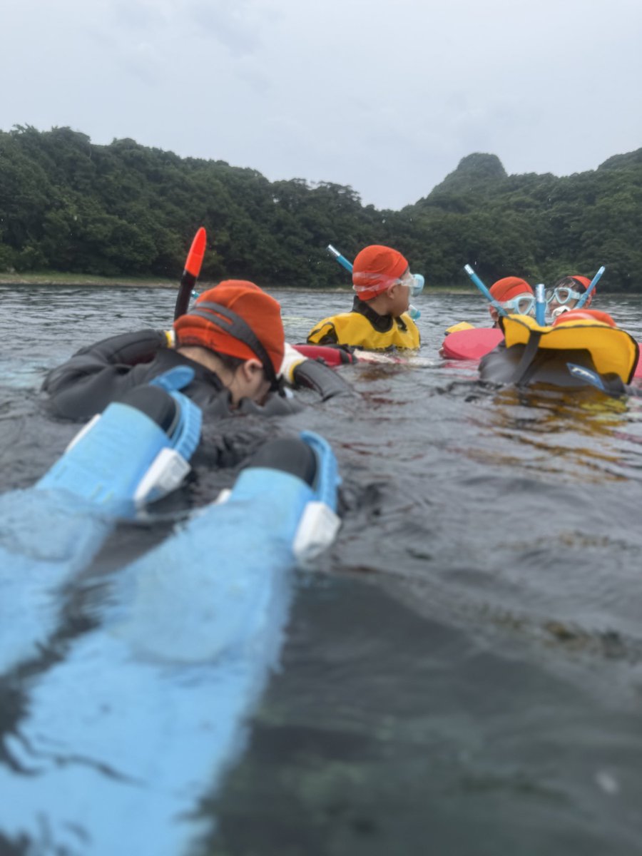 camp_jof's tweet photo. 【君の旅キャンプ】
〜スノーケル〜

お魚やウミウシ
海の世界はとっても素敵だったね！

このあとはテント設営です🏕️

#アウトドア
#キャンプ
#ジャパンアウトドアファクトリー
#子どもキャンプ
#ＪＯＦあわくらキャンプ https://t.co/RZcwfHhsv8