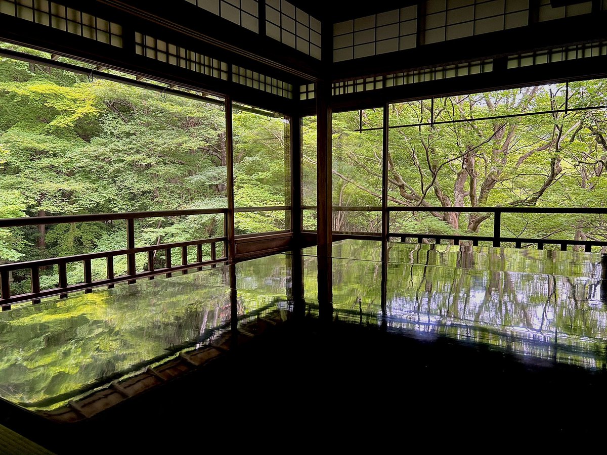 ddd_mememe's tweet photo. 水琴窟って初めて聴いたけど、これがマインドフルネス…！って感じだった
青もみじのお花も咲いてて素敵な雨の昼下がり https://t.co/WOU2JllMtP