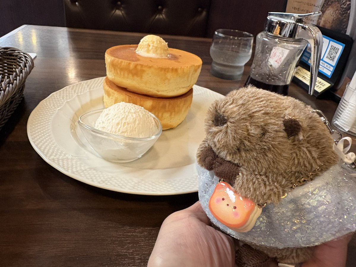 ホットケーキですの🥞 パンケーキとも言うですの🦫🎀 #ぬい活 #ビーバー