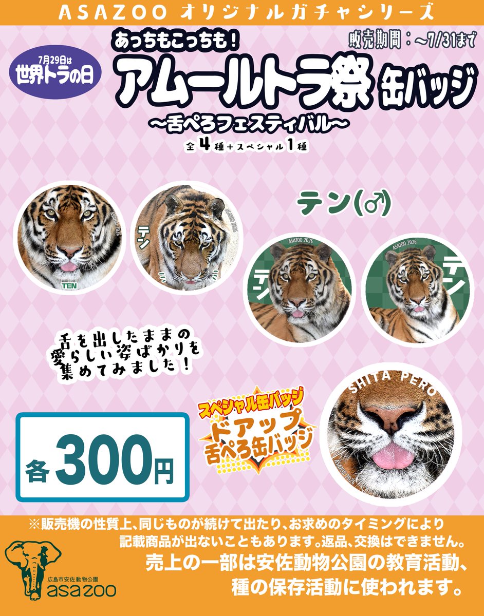 asa_zoo's tweet photo. 【ガチャ新シリーズ販売開始！】 
7/16の「モルモット感謝の日」7/29の「世界トラの日」に向けて、それぞれ「テンジクネズミ祭 缶バッジガチャ」「アムールトラ祭 缶バッジガチャ」を販売しております！ 
ぜひ正門売店「アサンテ」にてお買い求めください！ 
#asazoo #zoo #ガチャ https://t.co/UiW2i8IlBW