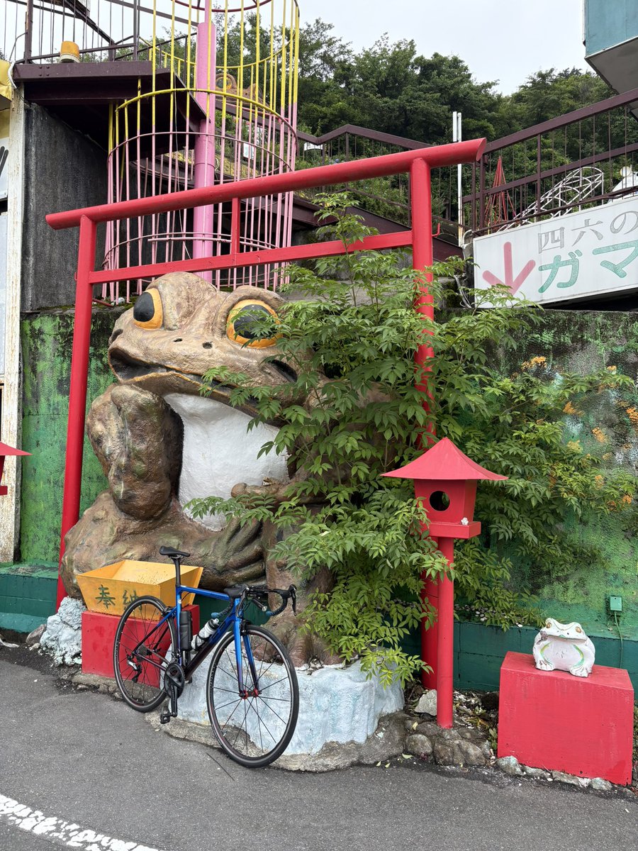 BikesAreFreedom's tweet photo. 今日はcadence 80rpm以上縛りで
#筑波山 表ヒルクライム⛰️🚴‍♀️‼️
平均は85rpm-90rpmでしたが、
F34t-R30tだと勾配9%以上で75rpmまで落ちます(^◇^;)
PWを20Wぐらい上げるか、32tか34tを入れるしかないですね😅 https://t.co/aHfXqjzhjl