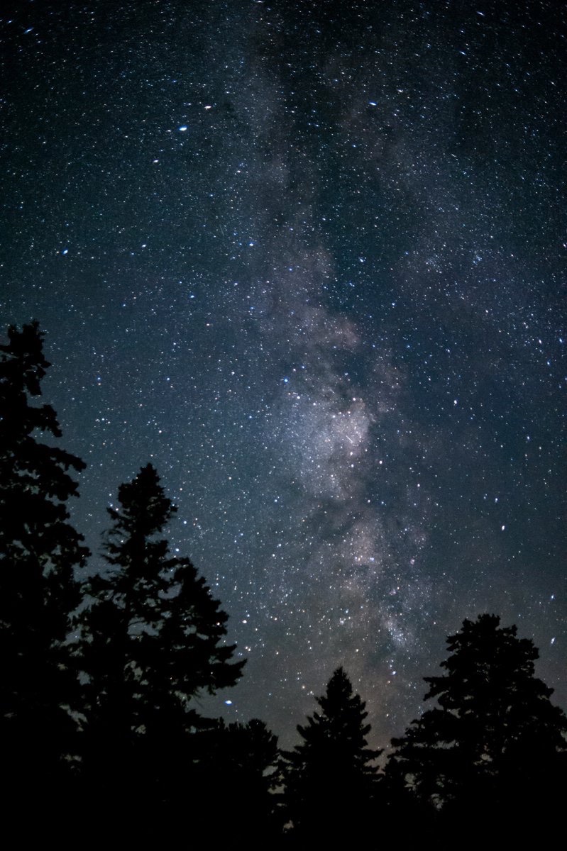earthcurated's tweet photo. Most people look at the night sky and just see pretty stars.
But you aren't just standing on a planet looking out. You’re riding a giant rock through a massive, swirling cosmic island.
Every single individual star you can see with the naked eye is located within our own galaxy. That dense, cloudy band of light cutting through a dark sky? That's the collective glow of billions of distant suns concentrated along the galactic plane.
When you look at the core of the Milky Way, the light hitting your eyes took roughly 26,000 years to get here. You aren't just looking at space you're looking back in time. 🌌✨
