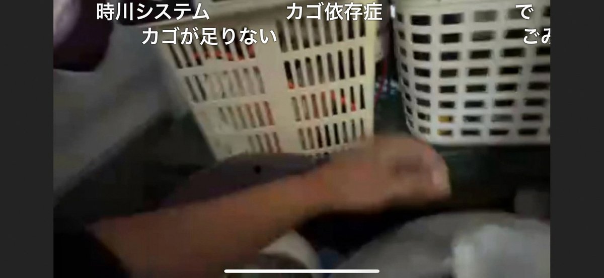 minsley1's tweet photo. ウマ娘の声優さん見ていて顔が好きだなって思うのが春川芽生さんと日比優理香さんなので、
なんというか、濃くて端正なお顔好きだよなみたいな……。 https://t.co/b6QUl4JPSF