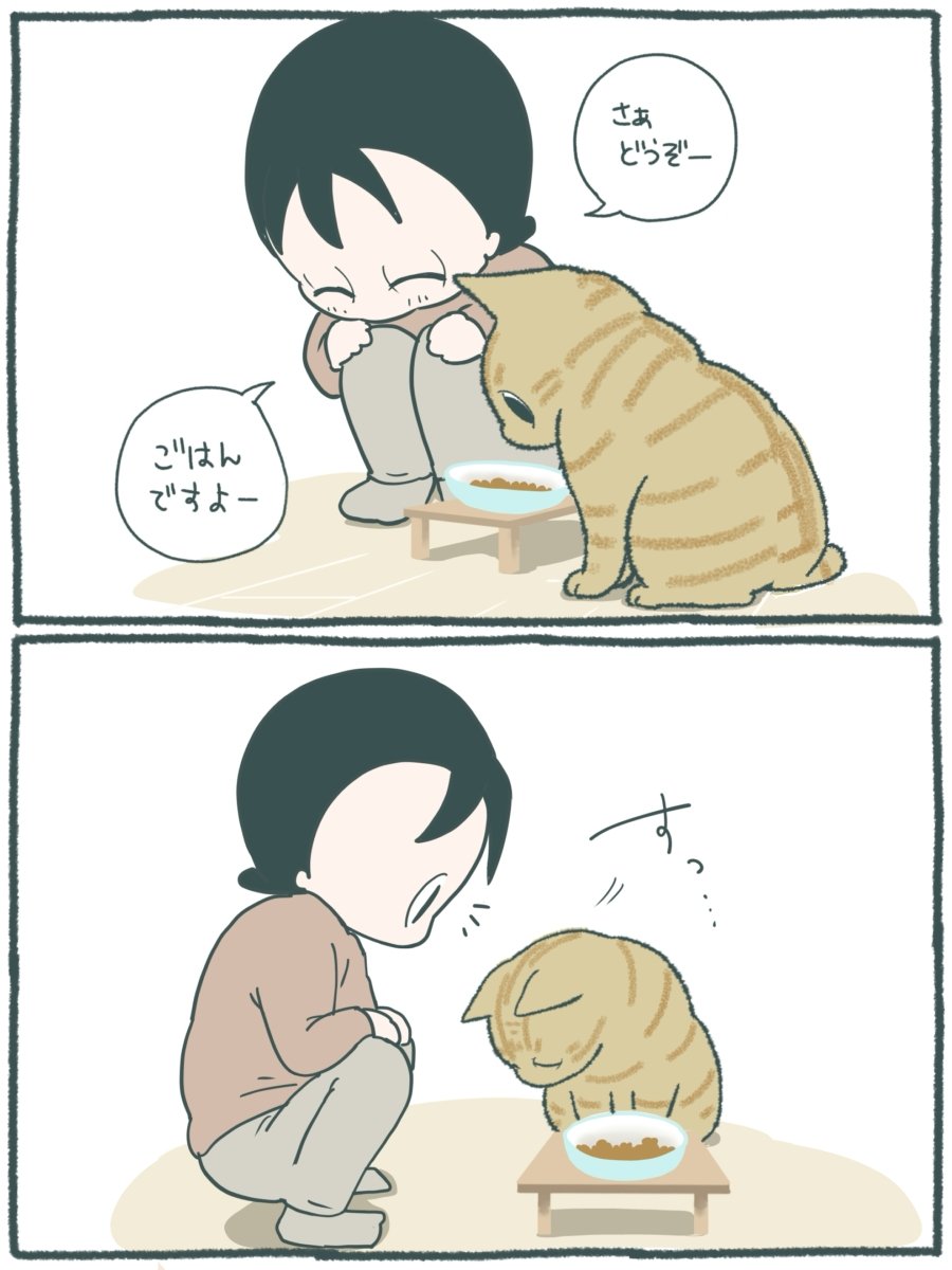 neekonoo's tweet photo. ごはんを食べるときは見守られたいタイプな猫のぷーちゃん😺
(1/2) https://t.co/NJ89bmvsn6