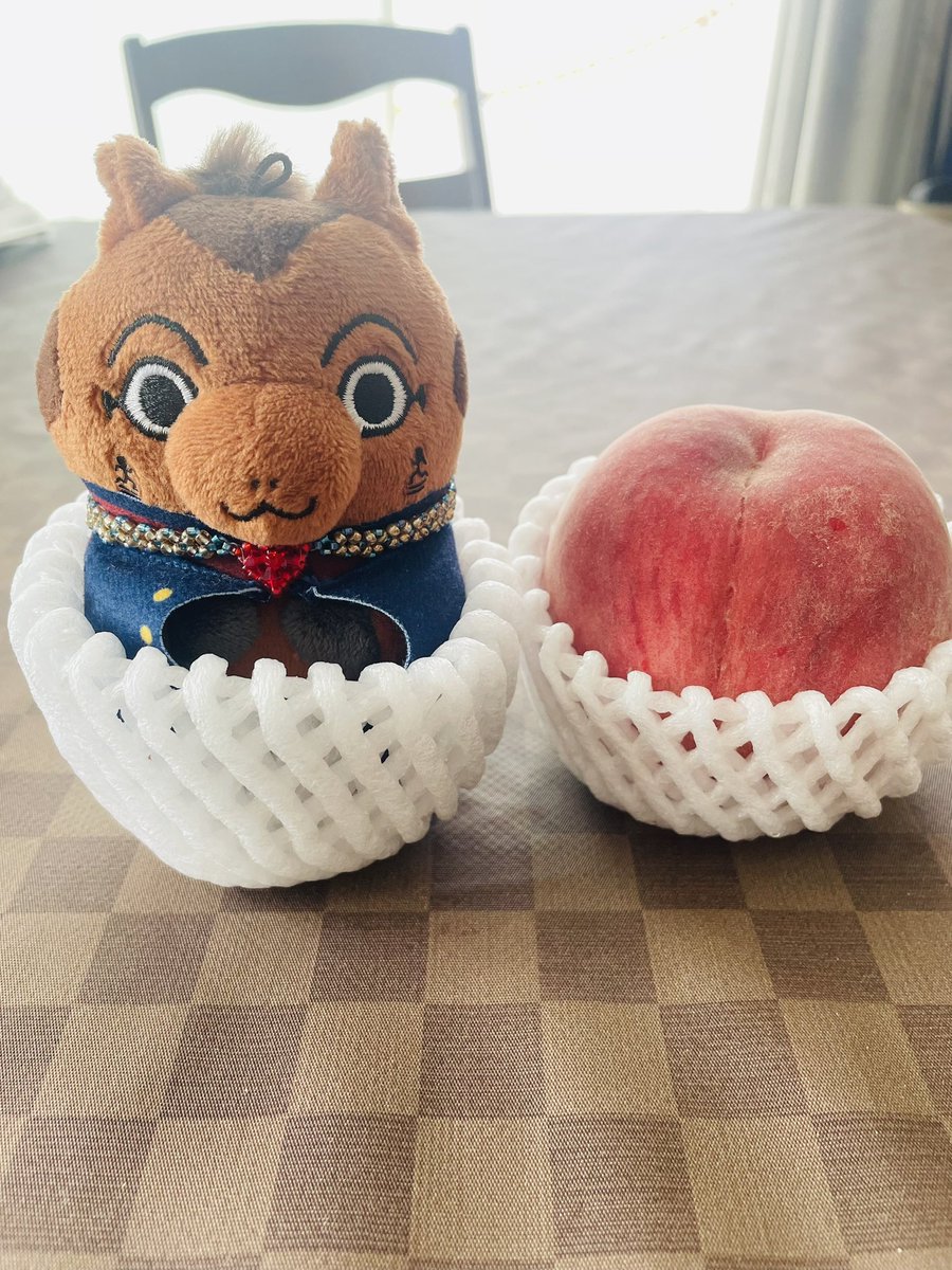 23ka_moon's tweet photo. 🐎in🕸️
🍑in🕸️ https://t.co/RIQ191NKaS