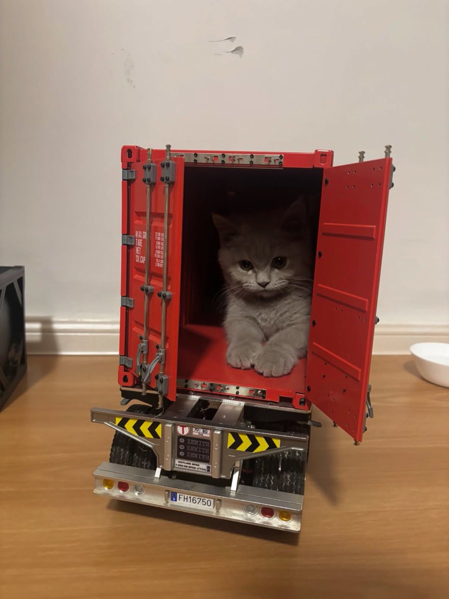 kongsiviralje's tweet photo. Dengan rela hatinya dia masuk. Ni lah orang cakap pemerdagingan kucing, tadi dia kokak hidung aku, sekarang aku nak jual dia.

Kredit : justhafizi https://t.co/4o4VlHB9OB