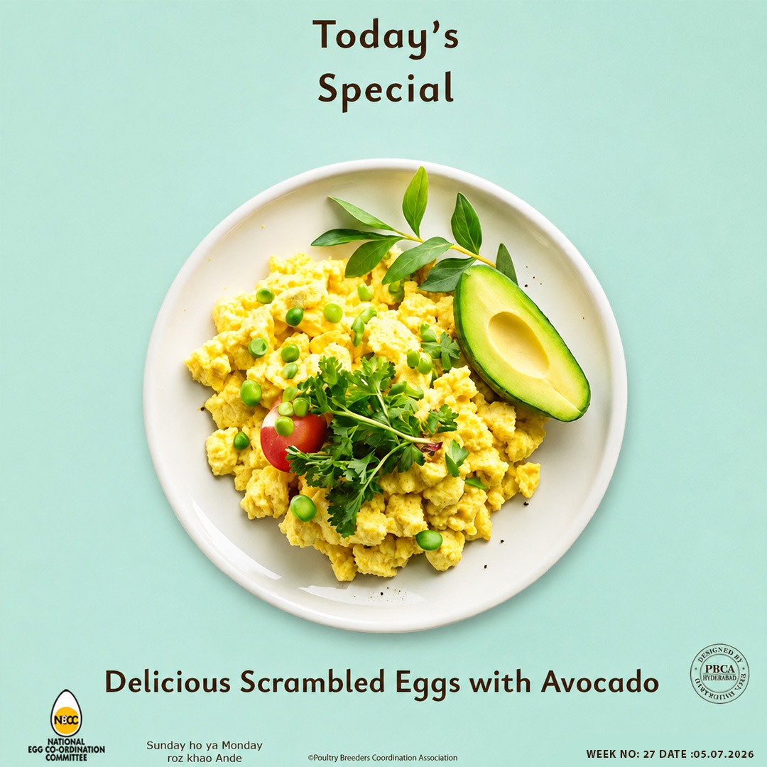 vencobbchicken's tweet photo. #Necc #eggrecipe #indonesiangorengwithafriedegg #EggRecipe #EggLovers #EggSpecial #ProteinFood #TastyFood #FoodLovers #TodaySpecial https://t.co/GRkjpPH8yz