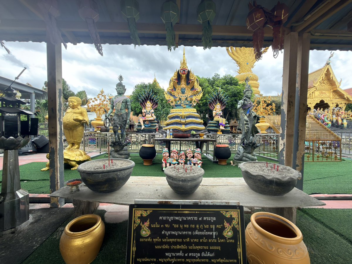 Richly_richly's tweet photo. เลขปิงปองปู่พญานาค https://t.co/NSfnGaAAga