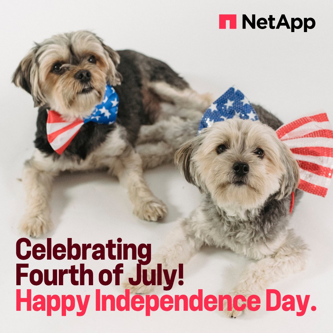 LifeAtNetApp's tweet photo. Happy Independence Day! 🇺🇸 We honor the spirit of innovation, resilience & unity that defines our nation and inspires our work at #NetApp. Wishing you and your loved ones a safe and joyful 4th of July—filled with celebration, gratitude & hope.
#LifeAtNetApp #WhyNetApp https://t.co/t0E1HguKyP