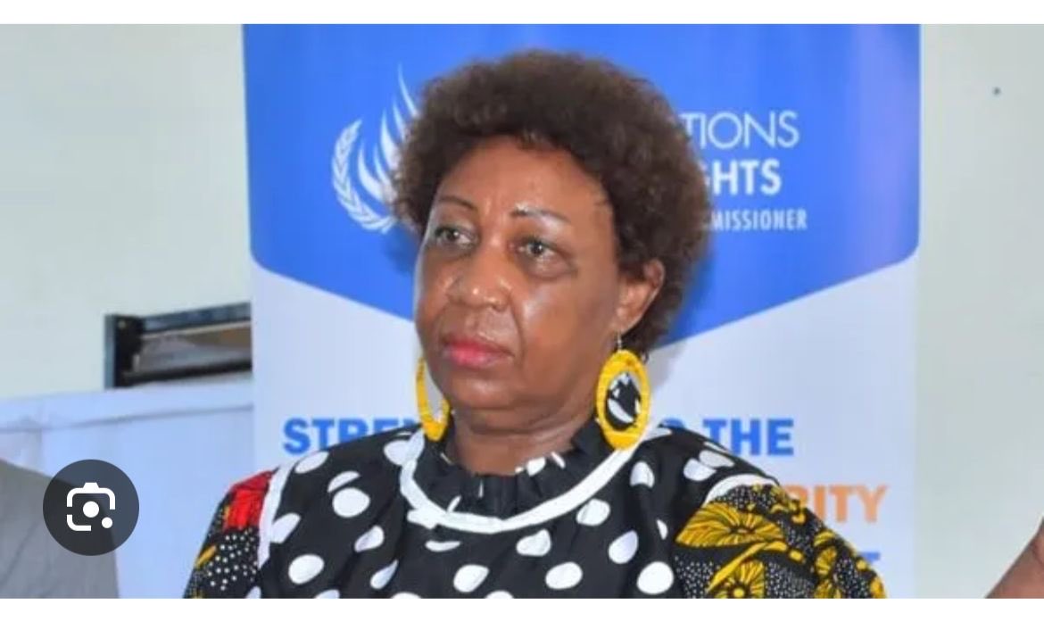 FredShaka's tweet photo. This lady should be arrested and fired immediately. What’s wrong with some people? How do you address the president in such a disrespectful way? She could either resign or formally convey her dissatisfaction to the president through writing to him formally instead of yapping in front of cameras. Now the question is, after her utterances, who will ever trust and seek help from that commission?