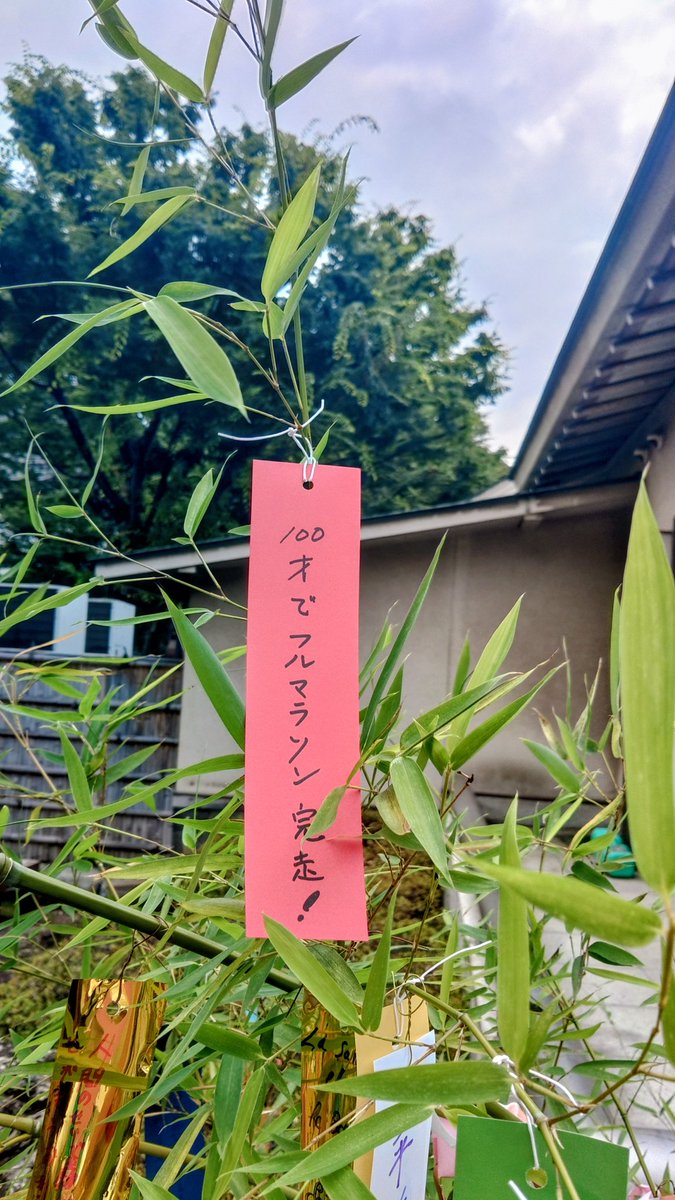ks_ozuma's tweet photo. 2026/7/4(土)、都内七夕マラニック～星に願いを～
あちこち #七夕飾り を巡って約23kmの散策ラン
童心にかえって短冊に願い事をくくりつけ「100才でフルマラソン完走！」
願いというより40年先の目標だけど
銀座線の検車区踏切に #キハ という鉄ちゃん向け居酒屋の看板を見っけ。面白そう https://t.co/V062JpYgTY