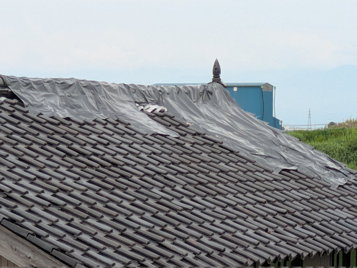 hal_r34's tweet photo. 納屋の大屋根に登って適当シート張りしたよ。これで少しは雨漏り防げるだろうか。

で、他にやらなければならないことは数��れど、今日は呑むよ。
奇跡的に入手できたつばめ純米

ほしぞらにごりそよかぜ純米は一升瓶で入手済だけど次回で https://t.co/2FEQmJqEqw