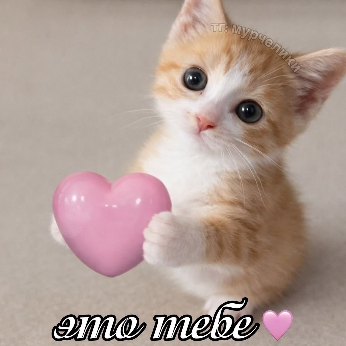 jiwoti tweet picture