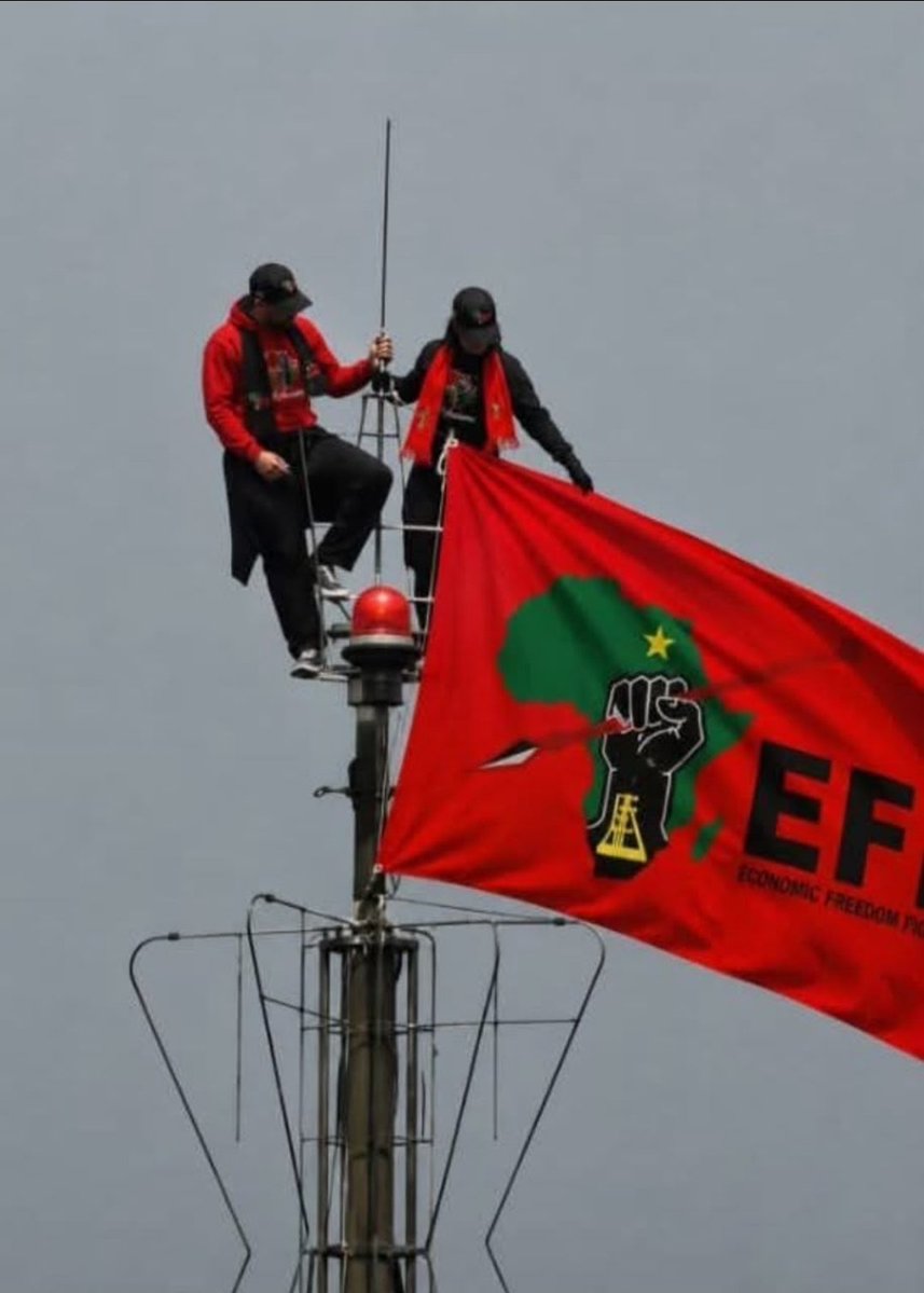 LindiweMasile13's tweet photo. EFF our Home and Pride. ❤️ https://t.co/1LR15RJcQa
