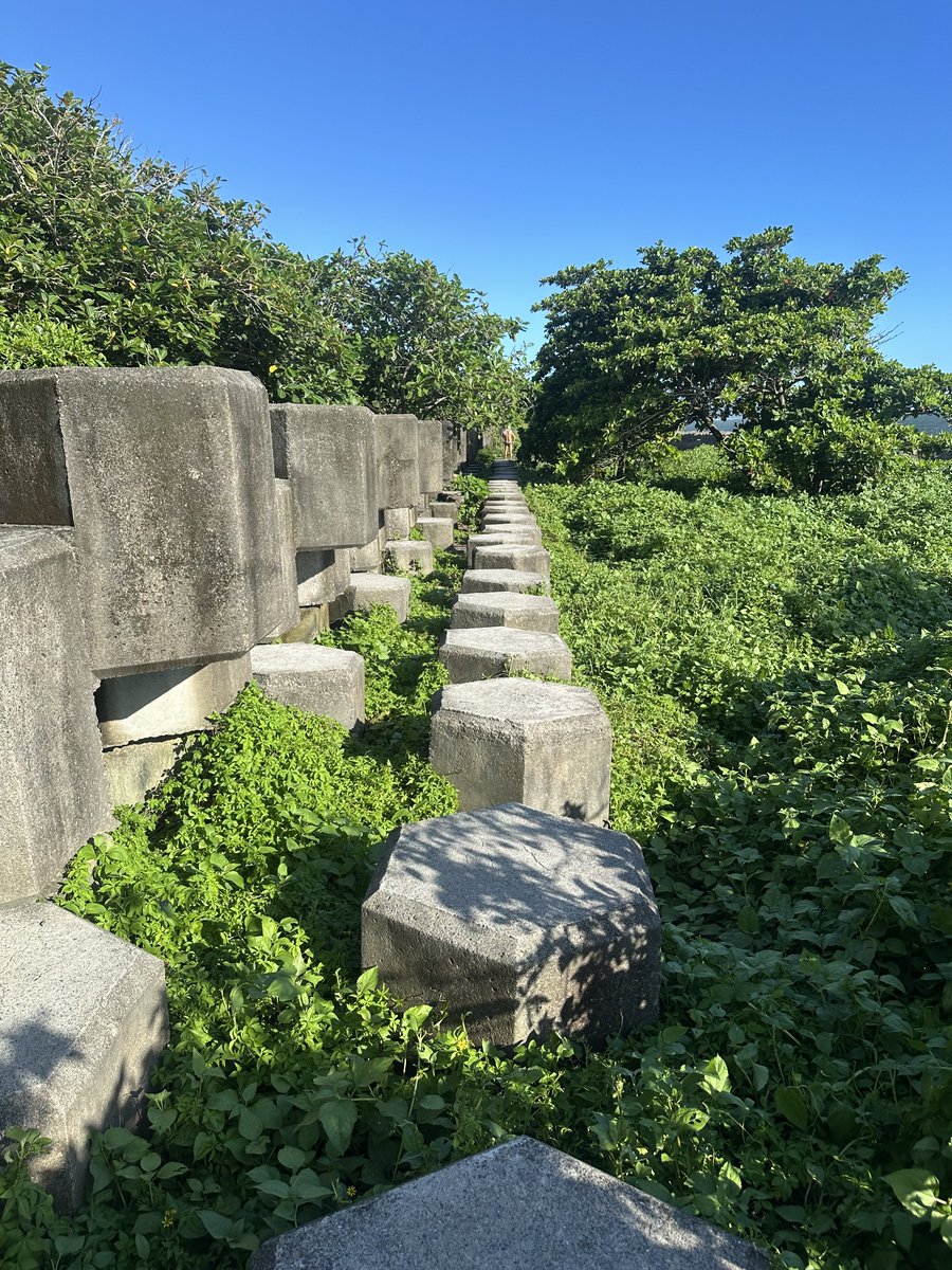 tenshi9tnt2's tweet photo. 美麗的風景 https://t.co/IROnv9pezX