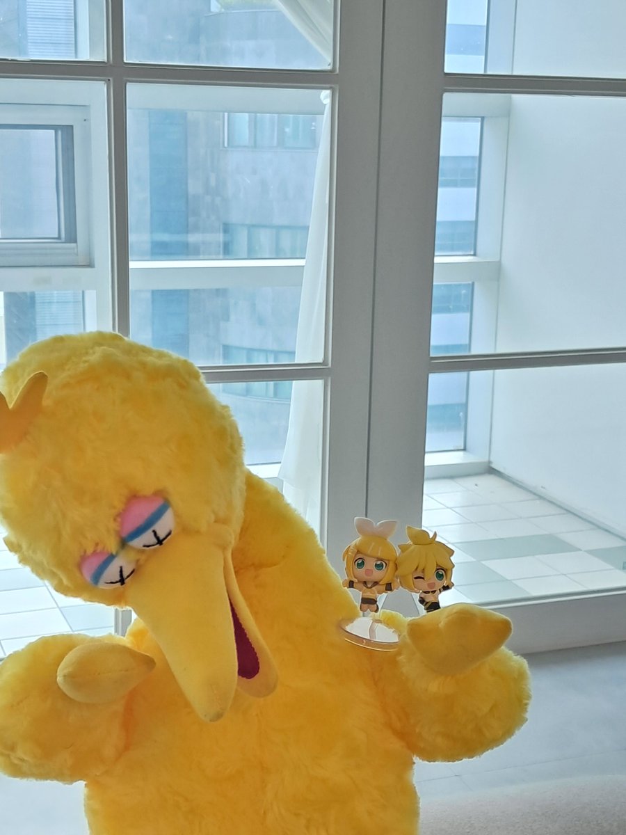 O_NUKI_poto's tweet photo. 즐촬~ https://t.co/peiVNBEtvU