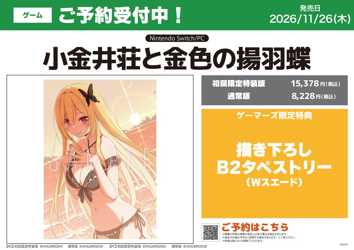 🎮ゲーム🎮】 \!!2026年11月26日(木)発売予定!!/// 【NS/PC】「小金井