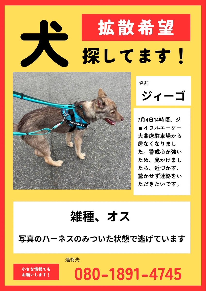 mkikin1's tweet photo. 🆘犬を探しています🆘
◉見失った場所
北広島市大曲工業団地7-3-4
ジョイフルエーケー大曲店駐車場

札幌市清田区に向かっている可能性もあります

追いかけず目撃情報をお寄せください

ご協力よろしくお願いします！

#迷子犬 #迷子 #犬 #北広島市 #札幌市 https://t.co/WAREBMr4fx