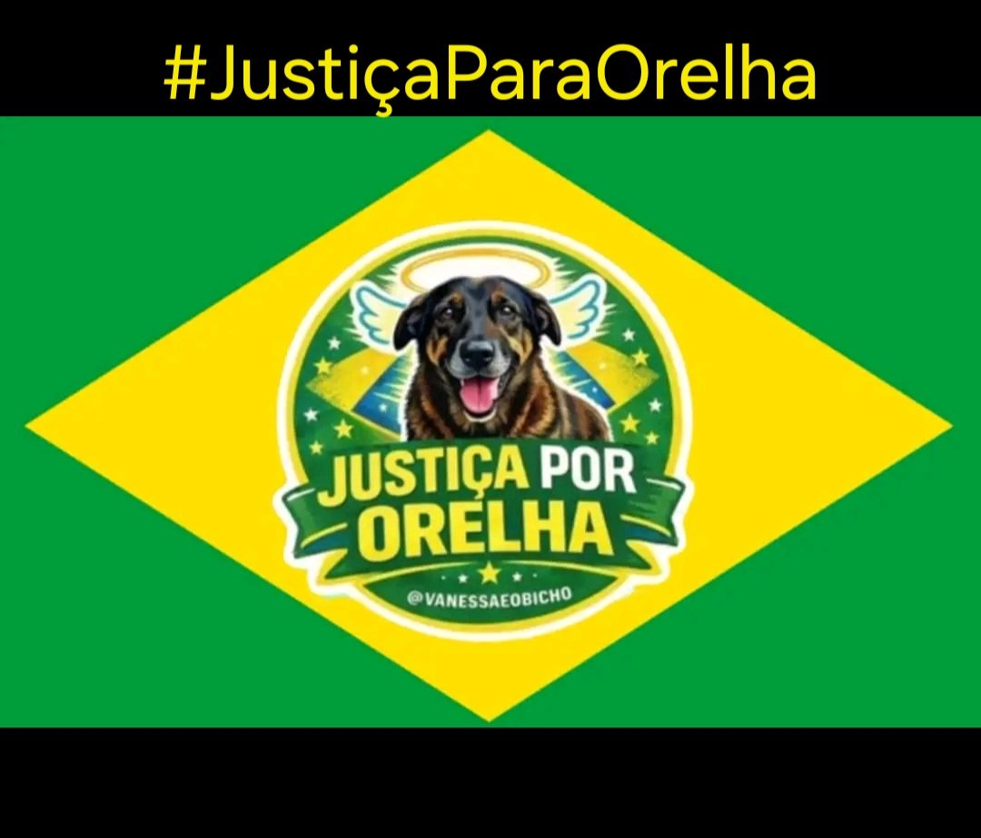 Cristin96731220's tweet photo. #JustiçaParaOrelha https://t.co/jiMijAqzwH