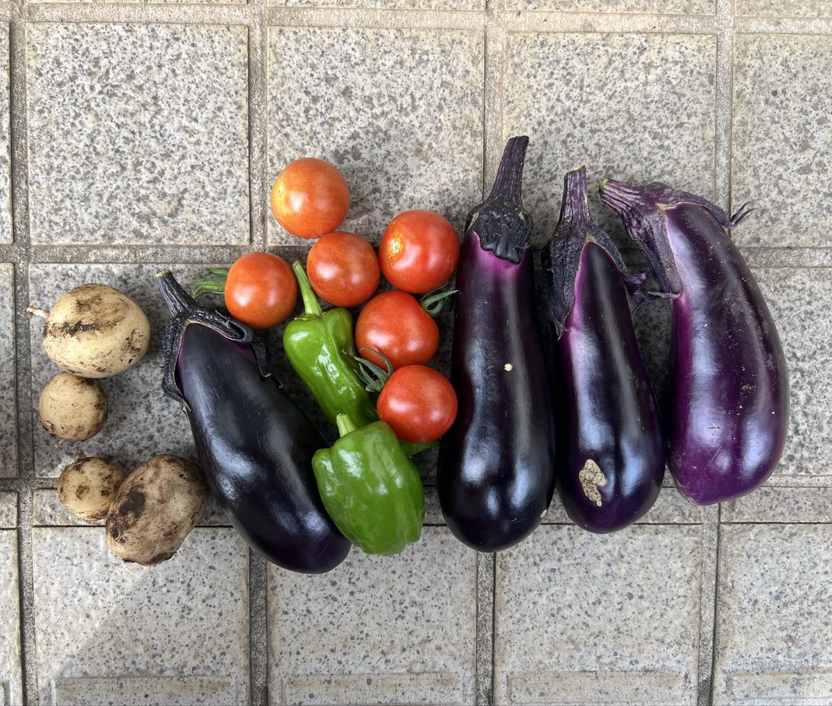 IndoCurryAne's tweet photo. ���庭菜園でナスなどが取れたので、本日は夏野菜カレーです🍆 https://t.co/zh3kdH8iYi