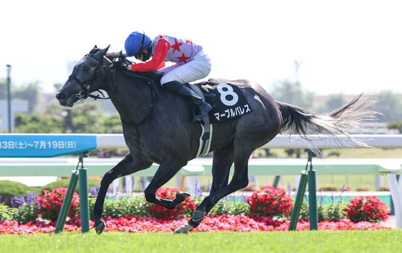 gallop_keiba's tweet photo. 函館11R、#TVh杯 は3番人気 #マーブルパレス が勝利！ 函館日刊スポーツ杯から中2週での昇級戦を快勝！ https://t.co/VY1YyV1YBt
