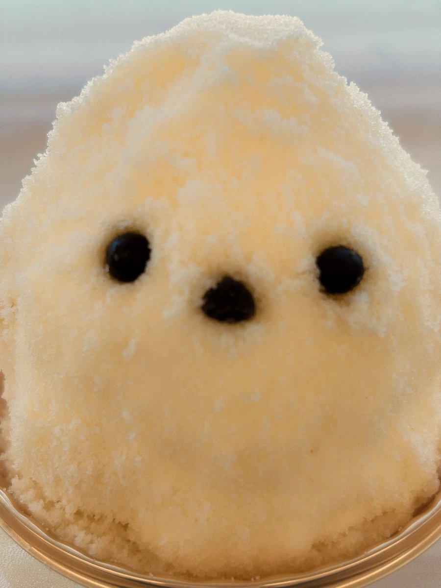 Shane_20512's tweet photo. ふいいいいい〜〜
ごめんなさい　ごめんなさい…
ﾁﾋﾟｨ… https://t.co/6lE7JtwTeR