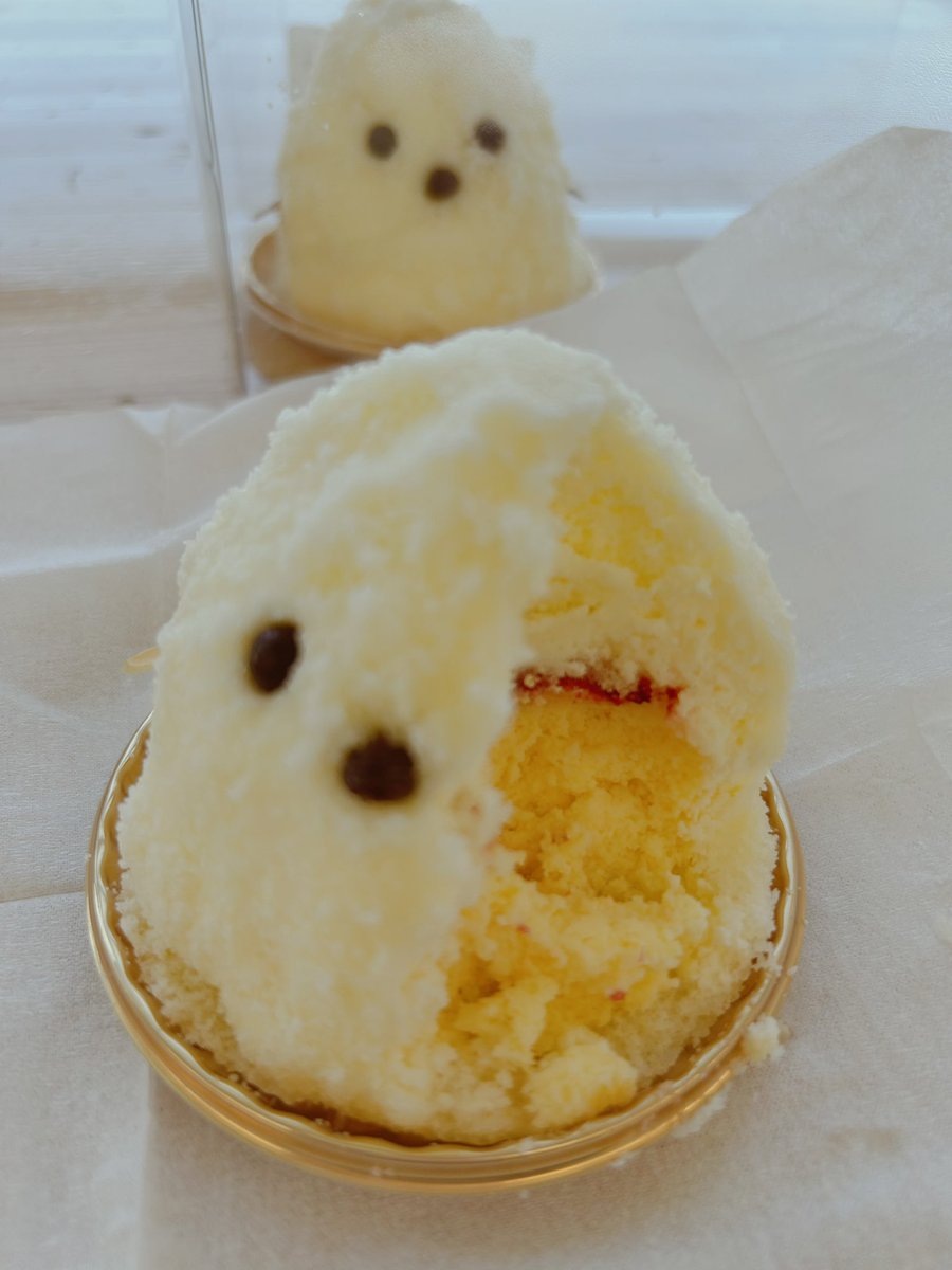 Shane_20512's tweet photo. ふいいいいい〜〜
ごめんなさい　ごめんなさい…
ﾁﾋﾟｨ… https://t.co/6lE7JtwTeR