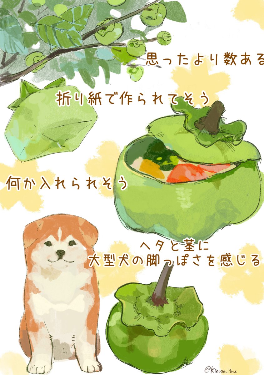キノセ tweet media