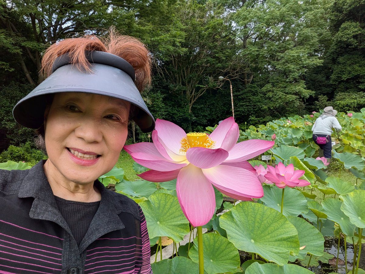 sanpei_31's tweet photo. 令和8.7.4    大賀ハスふるさとの会のﾎﾞﾗﾝﾃｨｱを１時間位、藻を採る活動しました。
　7/18 （土）さんぺいも蓮ガイドします。お待ちしております。
#千葉市議会議員
#さんぺい輝枝
#立憲民主党 https://t.co/hgOEwsE9qp