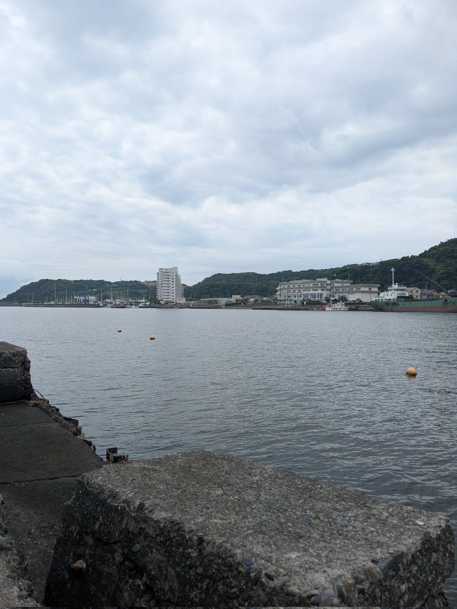 anchor323's tweet photo. 7月4日　11:00-13:00
浦賀湾駐車場裏
キス4、鯖4、ハゼ6

寝坊した。
朝から入りたかったのにこの体たらく。

ジャリメを付けてニ投目で本命キャッチ。
その後も毎投何かしらの当たり有。
楽しい。
帰り際、水面を小鯖の群がいたのでお土産補充！
10分で4匹。
サビキ持ってくれば良かったな。 https://t.co/6WXxNpeXJY