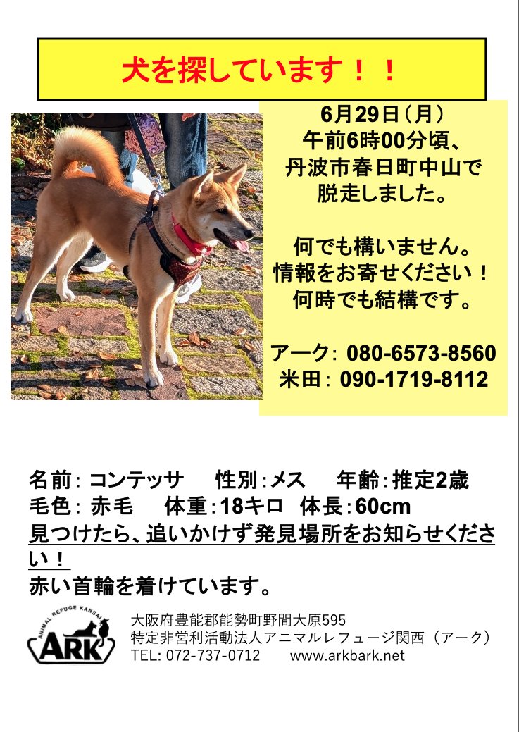 arkbark2010's tweet photo. アークを卒業した「コンテッサ」が6月29日早朝脱走してしまいました。
本日も里親さん、スタッフにて捜索中です。
目撃情報も少なく、捜索が難航しています。

周辺にお住まいで、ポスティング、捜索にご協力いただける方、コメントやDMにてご連絡ください！！
目撃情報もお待ちしております。 https://t.co/7eBzuXBIzC