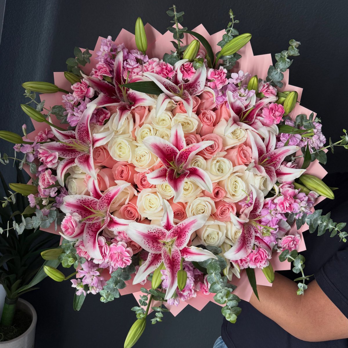bloomifyyy's tweet photo. https://t.co/hMDASsUdyr