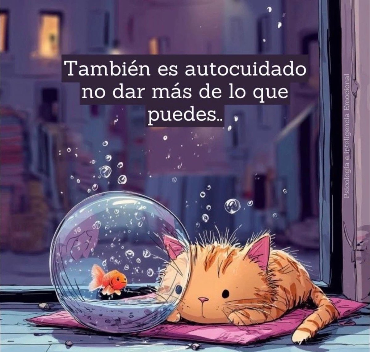carcouceiro's tweet photo. https://t.co/otEGDza0m7