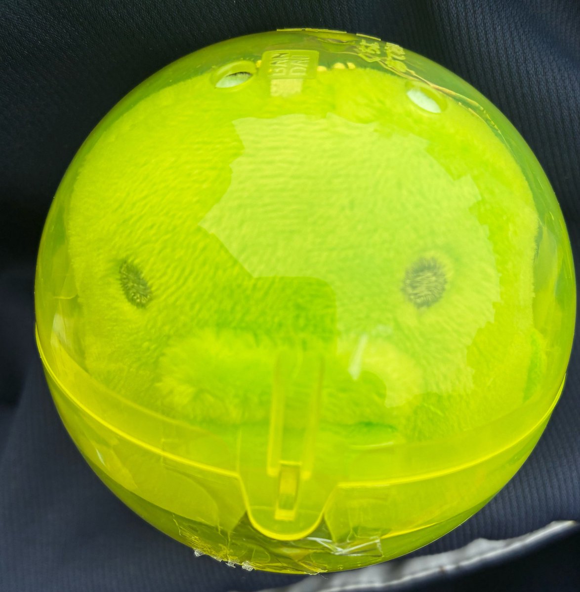 hb0306's tweet photo. 【交換】
たまごっち ぬいぐるみマスコット

譲 くちぱっち
求 みみっち

郵送にて交換して下さる方を探しています。お気軽にお声掛け下さい🙇‍♀️ https://t.co/NE5cn5AhW1