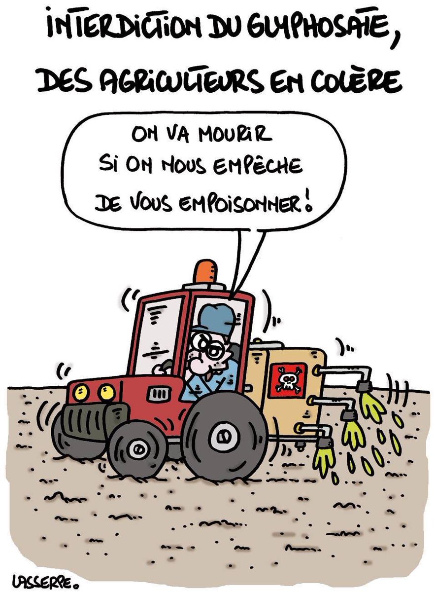 diogene2607 tweet media