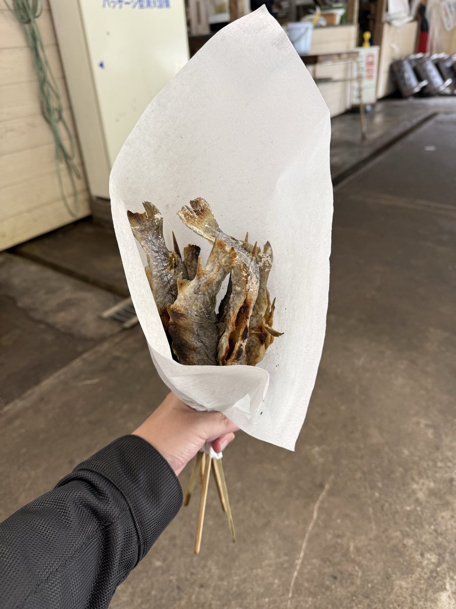 pa_teru's tweet photo. はじめに1匹釣れただけでその後音沙汰無し。
最後の方に管理人にコツ教えてもらったら一気に釣れ出した！凄い！
#ロイヤルエンフィールド
#秋川国際マス釣場 https://t.co/tx7zTUcT6f