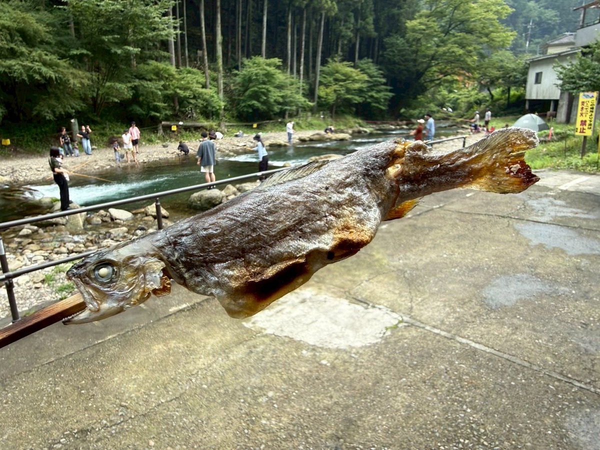 pa_teru's tweet photo. はじめに1匹釣れただけでその後音沙汰無し。
最後の方に管理人にコツ教えてもらったら一気に釣れ出した！凄い！
#ロイヤルエンフィールド
#秋川国際マス釣場 https://t.co/tx7zTUcT6f